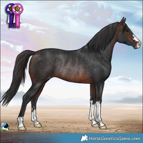Horse Color:Brown Varnish Rabicano