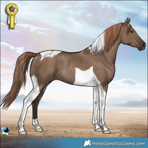 Horse Color:Liver Red Dun Tobiano Rabicano