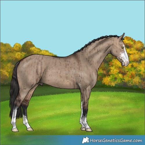 Horse Color:Brown Dun Sabino Brindle 