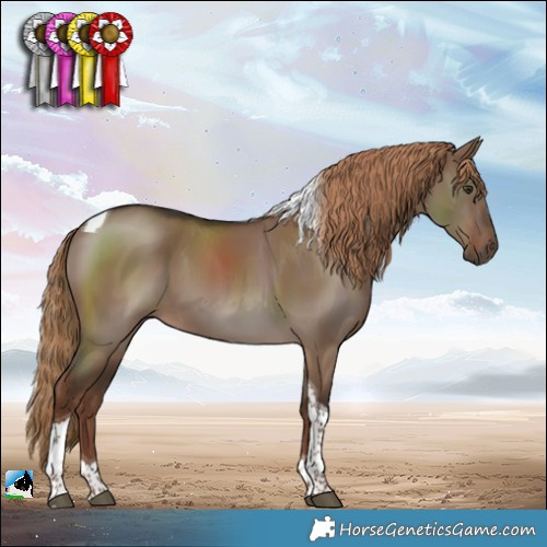 Horse Color:Liver Red Dun Tobiano 