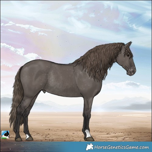 Horse Color:Smoky Grullo Appaloosa Rabicano 
