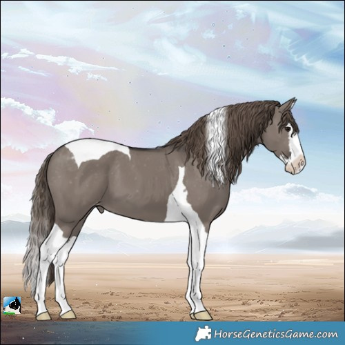 Horse Color:Smoky Grullo Splash Tobiano Varnish