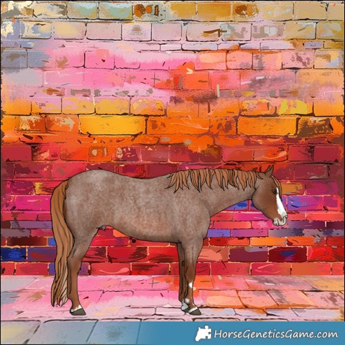 Horse Color:Red Roan Splash