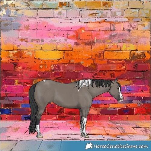 Horse Color:Grullo Splash Tobiano 