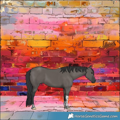 Horse Color:Grullo Tobiano