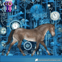 Horse Color:Bay Dun Tobiano 