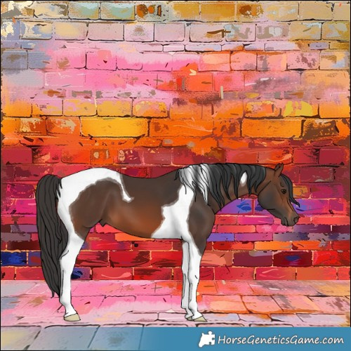 Horse Color:Brown Tobiano 