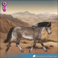 Horse Color:Bay Dun Tobiano 