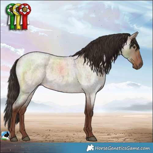 Horse Color:Liver Red Dun Roan