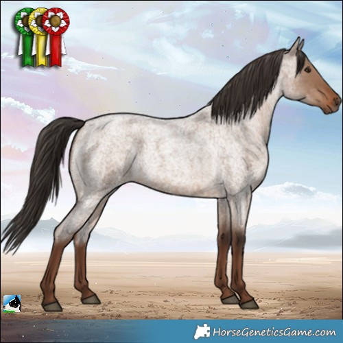 Horse Color:Liver Red Dun Roan 
