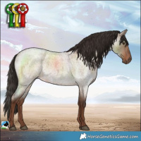 Horse Color:Liver Red Dun Roan