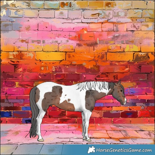Horse Color:Brown Merle Tobiano