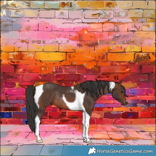 Horse Color:Brown Tobiano Rabicano