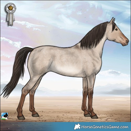 Horse Color:Liver Red Dun Roan 