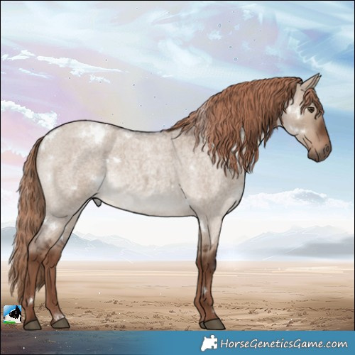 Horse Color:White Spotted Liver Red Dun Roan 