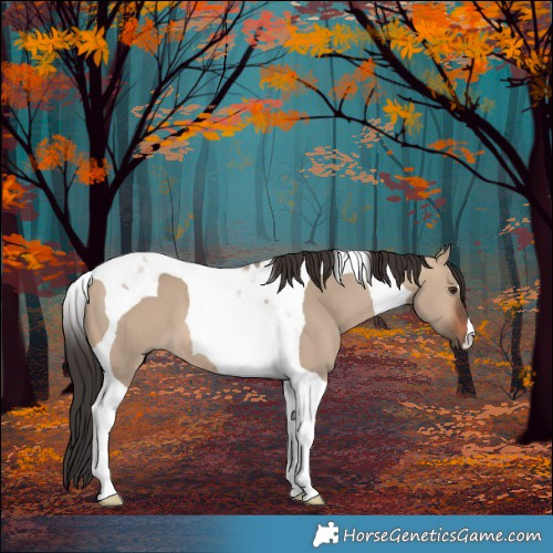 Horse Color:Brown Dun Tobiano 