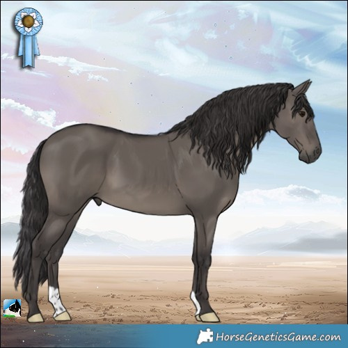 Horse Color:Smoky Grullo