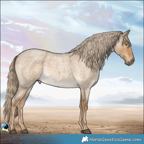 Horse Color:Chocolate Palomino Roan Dun