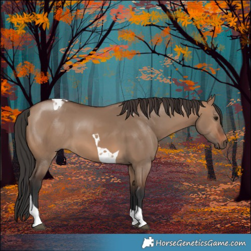 Horse Color:Brown Dun Tobiano 