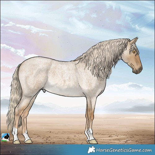 Horse Color:Chocolate Palomino Roan Dun 