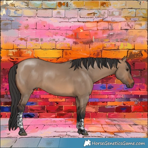 Horse Color:Brown Dun Tobiano 