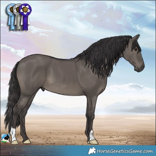 Horse Color:Smoky Grullo 