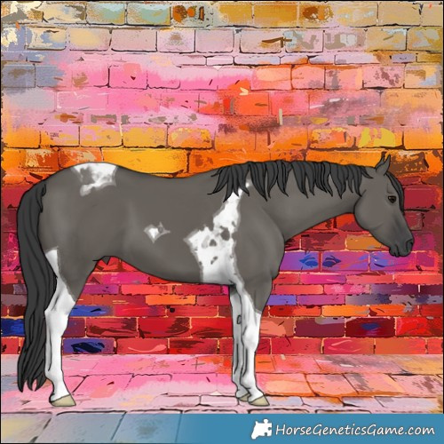 Horse Color:Grullo Tobiano 