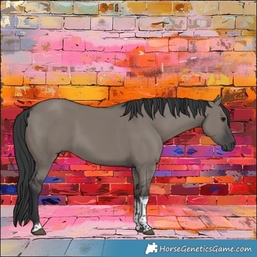 Horse Color:Grullo Tobiano