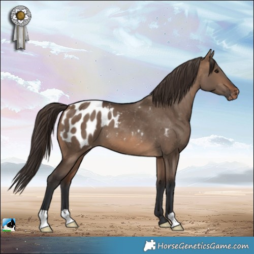 Horse Color:Brown Dun Varnish