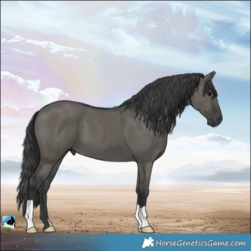 Horse Color:Grullo