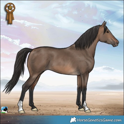 Horse Color:Brown Dun