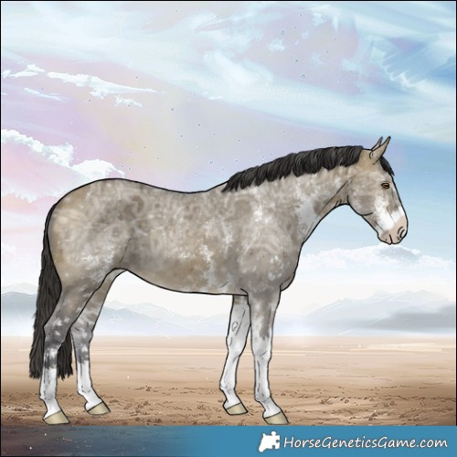 Horse Color:White Spotted Buckskin Ice Dun 