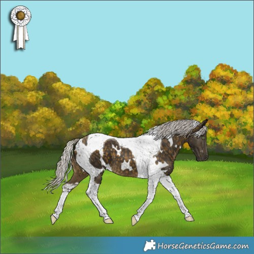 Horse Color:White Spotted Silver Buckskin Tobiano