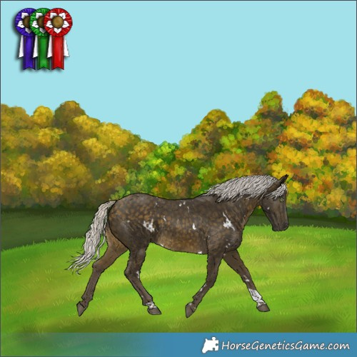 Horse Color:White Spotted Silver Buckskin Tobiano