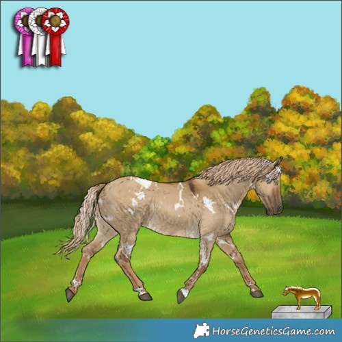 Horse Color:White Spotted Chocolate Palomino Dun Rabicano 