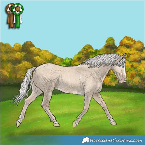 Horse Color:White Spotted Silver Perlino Dun Splash Rabicano Brindle