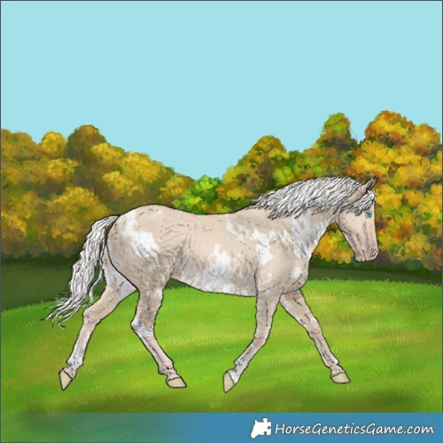 Horse Color:White Spotted Silver Smoky Creme Dun Rabicano