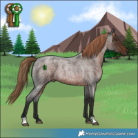 Horse Color:Liver Red Roan 