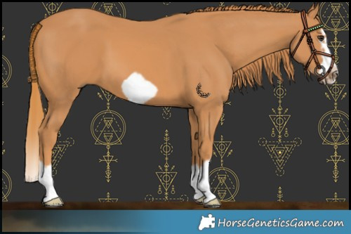 Horse Color:Chestnut Splash Frame 