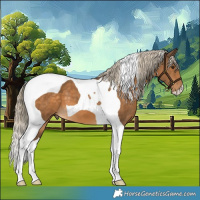 Horse Color:Chocolate Palomino Tobiano 