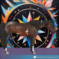Horse Color:White Spotted Liver Chestnut Tobiano