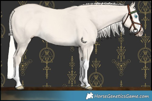 Horse Color:Cremello Dun Splash 