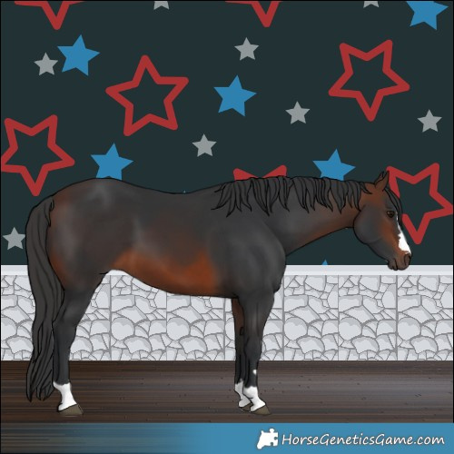 Horse Color:Brown 