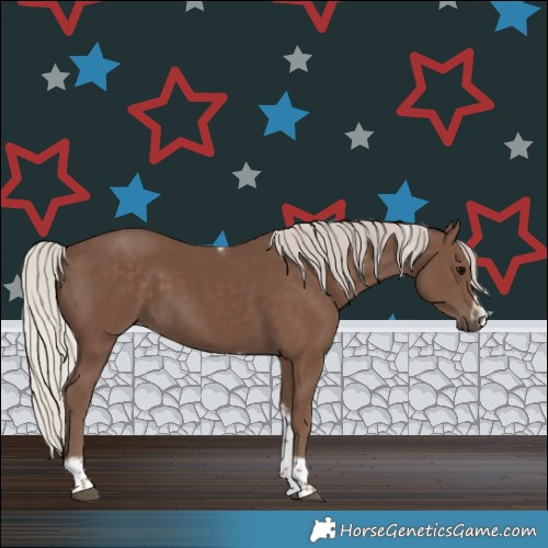 Horse Color:Silver Black Tobiano Frame 