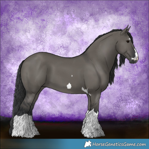 Horse Color:Grullo 