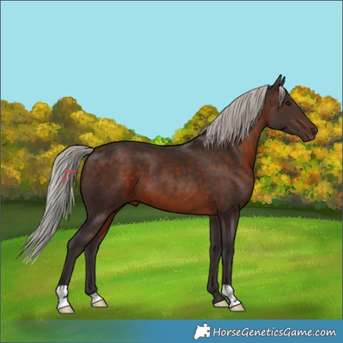 Horse Color:Silver Brown