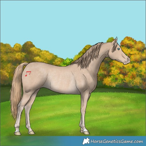 Horse Color:Smoky Creme Appaloosa Rabicano