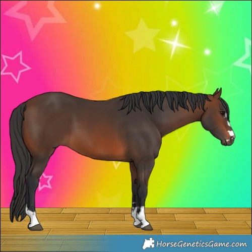 Horse Color:Brown 