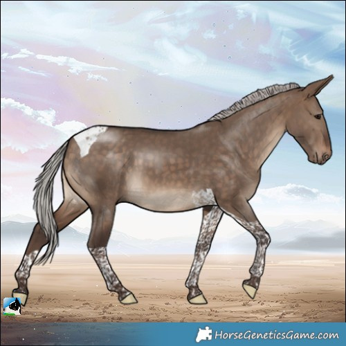 Horse Color:Silver Brown Dun Tobiano