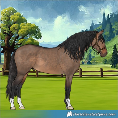 Horse Color:Brown Dun 